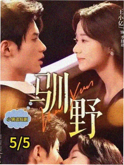 青春备忘录